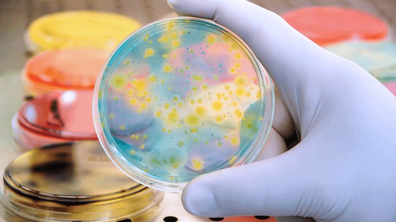 行业背景：生物制品研发的挑战与机遇