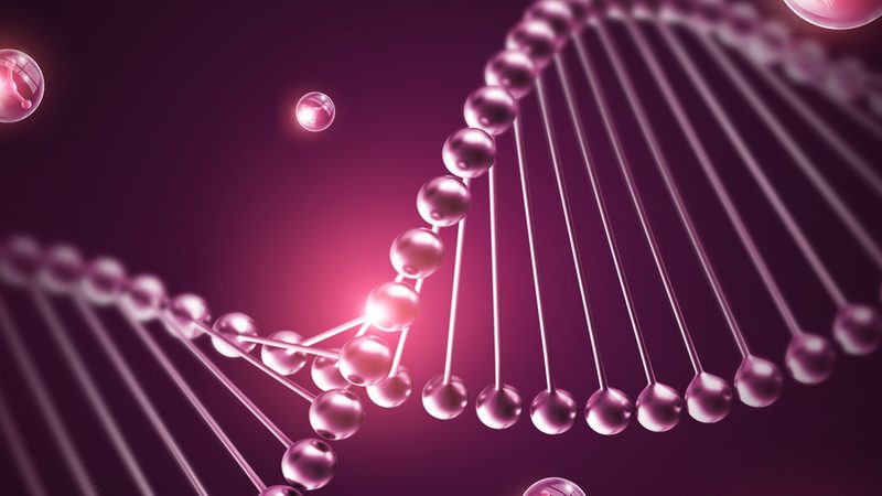 CDMO工艺流程：揭秘其成本构成与影响因素