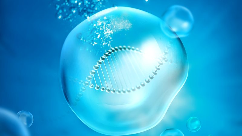 哺乳动物细胞规模化生产：揭秘高效制备之路**