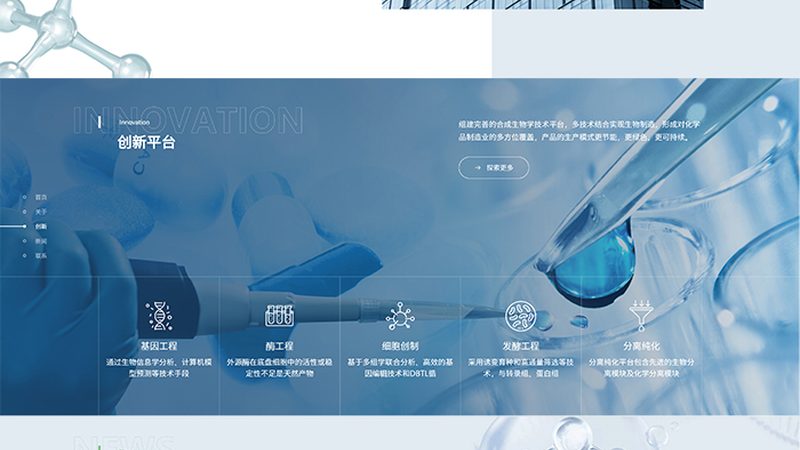 CDMO龙头企业定制流程：揭秘生物制药的“幕后英雄