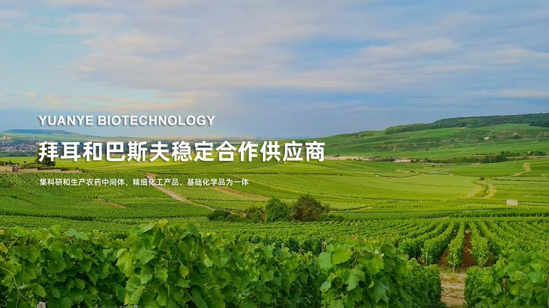 基因检测实验室资质办理：费用构成与注意事项
