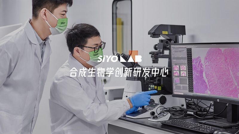 如何甄别优质CRO优化公司：关键指标与避坑指南