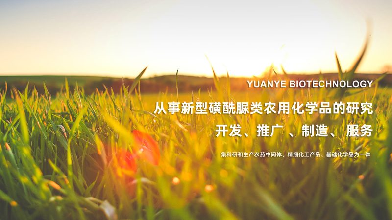 食品PCR检测：如何评估报价单的合理性与准确性**