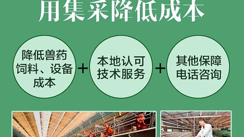 CDMO定制研发资质要求：揭秘合规之路