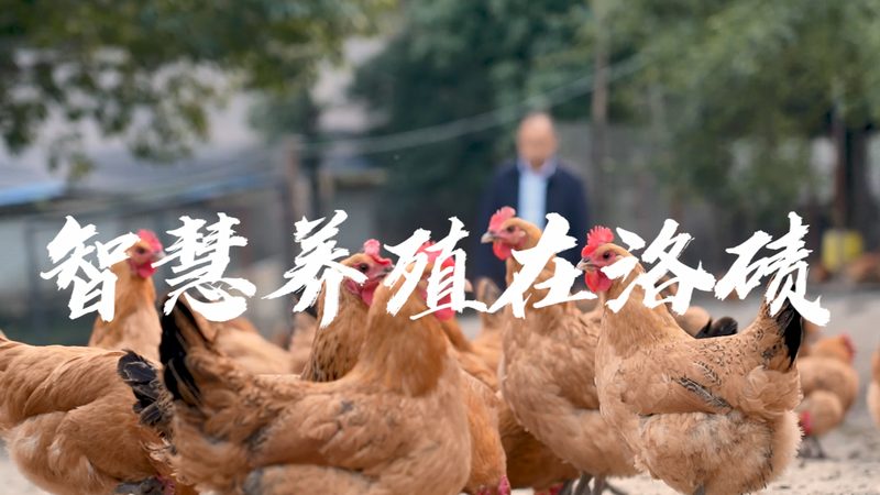 长三角生物医药园区招商政策解析：机遇与挑战并存**