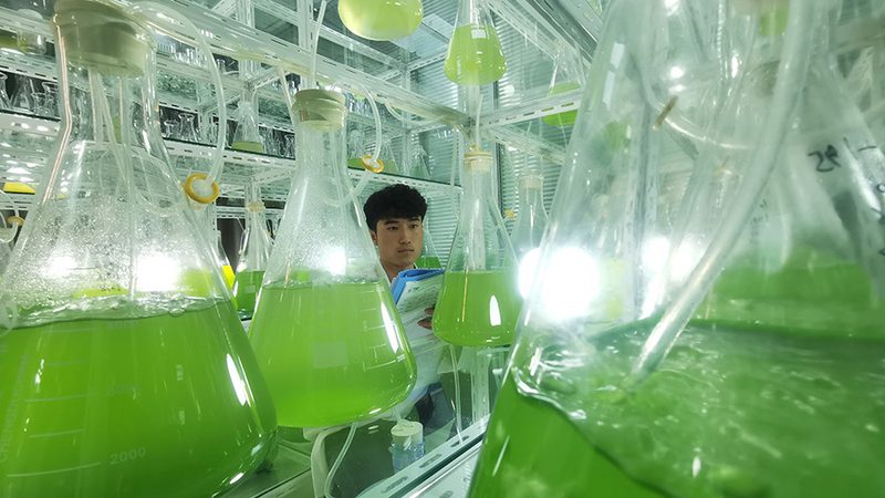 抗体药物临床试验设计方法：关键要素与策略